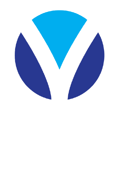 A Vostok Group logója